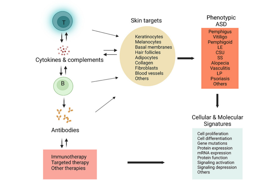 Understanding Autoimmune Implications in Cystagon Therapy